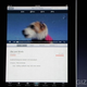 Image for article titled iPad Liveblog Archive